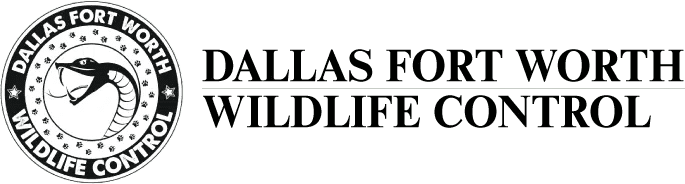 Dallas Fort Worth Wildlife Control logo