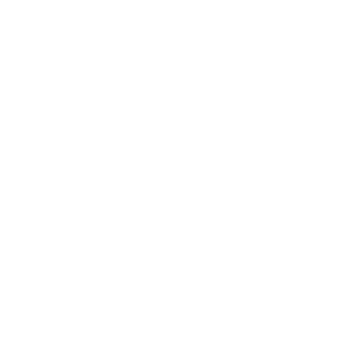 DanFalk Designs logo