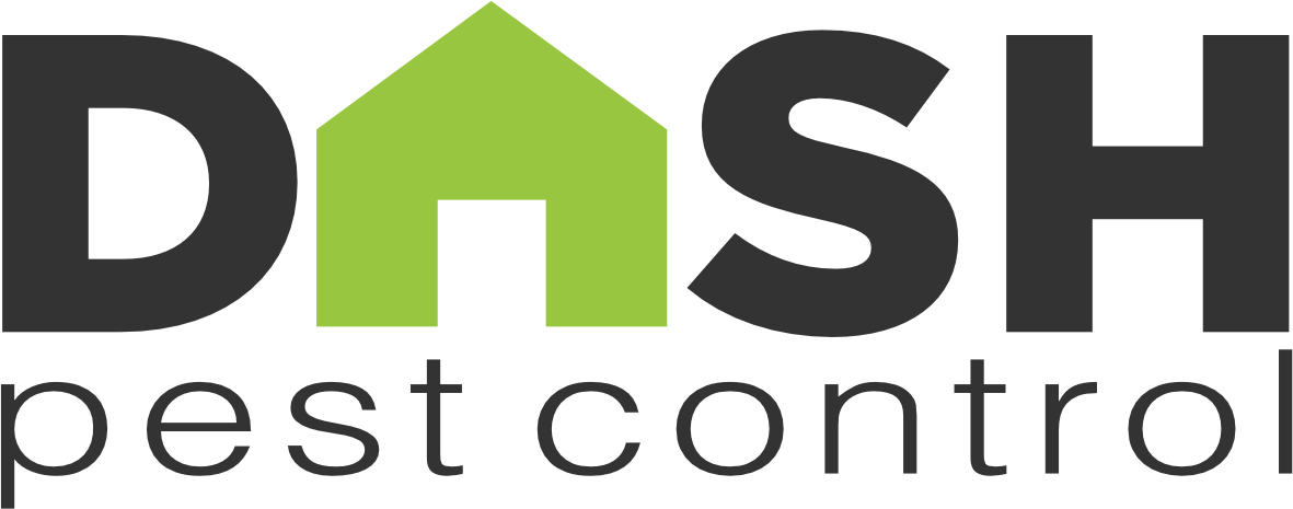 Dash Pest Control logo