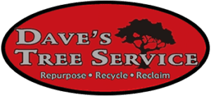 Dave's Tree Service, LLC logo