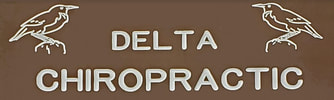 Delta Chiropractic Clinic logo