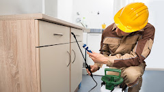 Denton County Termite & Pest Control Inc logo