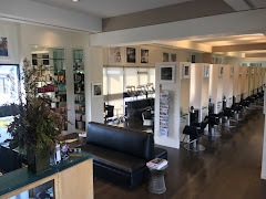diPietro Todd Salon - Mill Valley logo