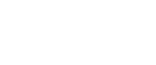 DM Auto Services, Inc. logo