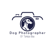 Dog Photographer of Tampa Bay logo