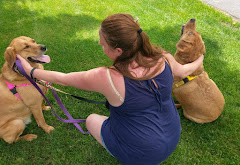 Dorney Dog Walk logo