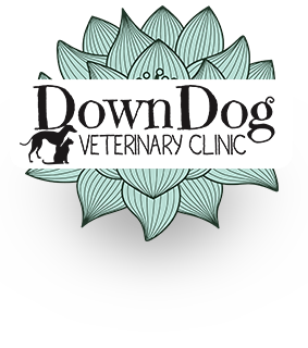 DownDog Veterinary Clinic logo