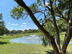 Duck Pond Park logo