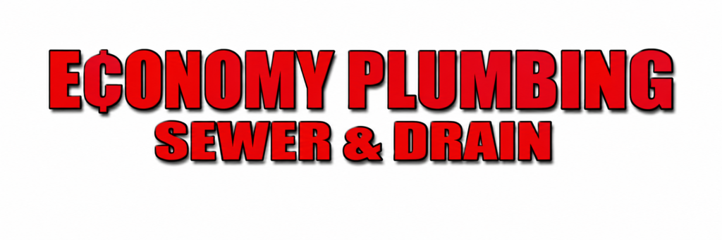 Economy Plumbing logo