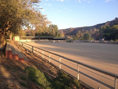 El Rodeo Equestrian Center logo