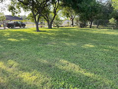 Elite Cuts Lawn Care logo