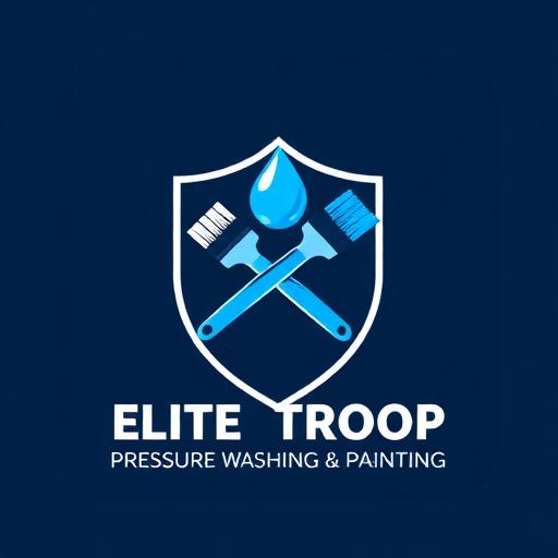 Elite Troop Pressure Washing & Painting logo