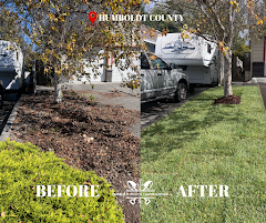 Emerald Roots Landscaping logo