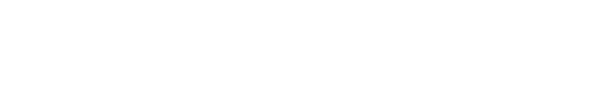 Empire Limousine logo