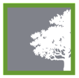 Evergreen Hardwood Flooring logo