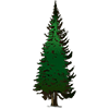 Evergreen Window Cleaning logo