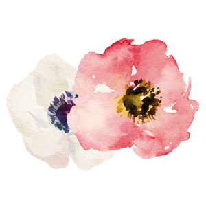 Fallon Photographic Art, LLC logo