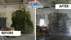 Farr's Mold Remediation, Inc. logo