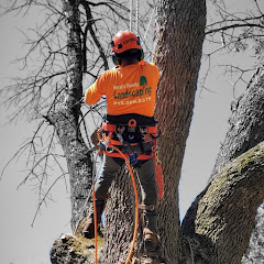 Ferrals Family Landscaping & Tree Services logo
