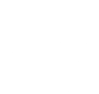 Friedman Law Firm, PLLC logo