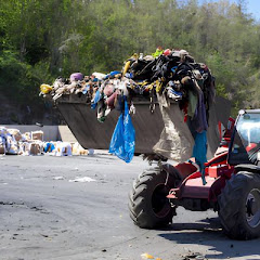 Frog Hauling Dumpster Rental Columbus logo