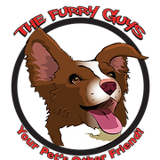Furry Guys Pet Care logo