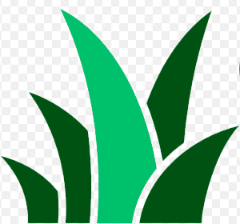 G&R Ideal Green Landscaping, LLC logo