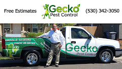 Gecko Pest Control logo
