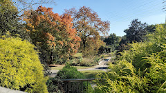 Greensboro Arboretum logo