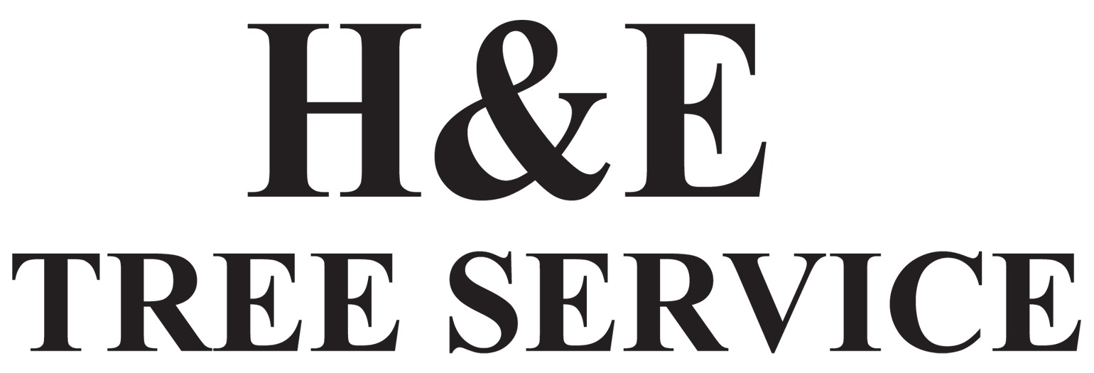 H & E Tree Service logo
