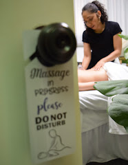 Higher Sol Massage and Wellness logo