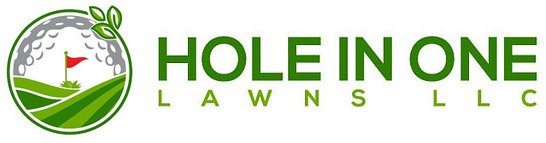 Hole In One Lawns logo