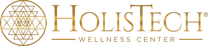 HolisTech Wellness logo