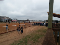 Horse Racing Track logo
