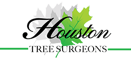 Houston Tree Surgeons logo