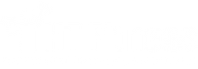 HT Fitness logo