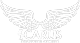 Icarus Recovery Center Alcohol & Drug Rehab New Mexico logo