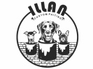 Illan Custom Painting Stucco & Paint Contractor logo
