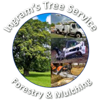 Ingram’s Tree Service logo