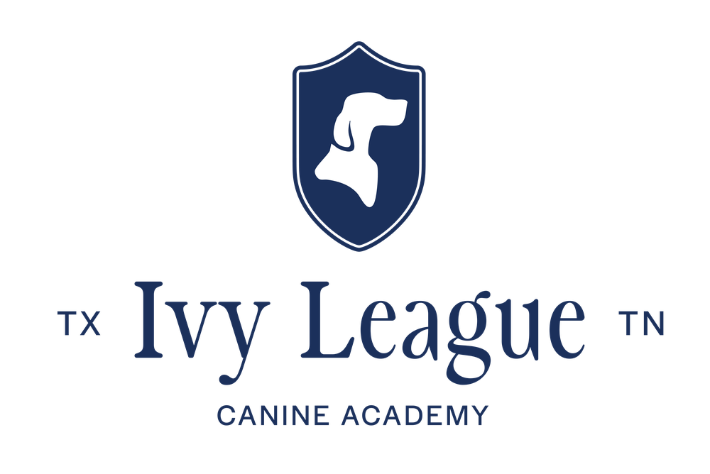 Ivy League Canine Academy logo