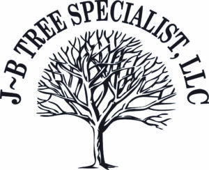 J - B Tree Specialist LLC logo