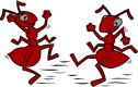 Jitterbug Pest Control logo