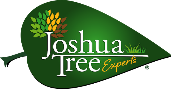 Joshua Tree Experts logo