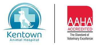 Kentown Animal Hospital logo