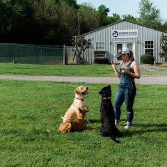 Kindred Spirits Dog Training logo