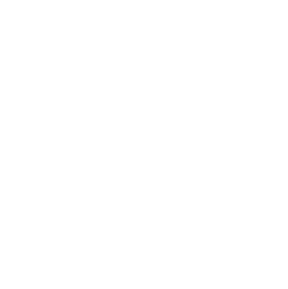 Krissia Pena, First Choice Investments logo