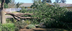 Kurt Eaton Tree Service logo