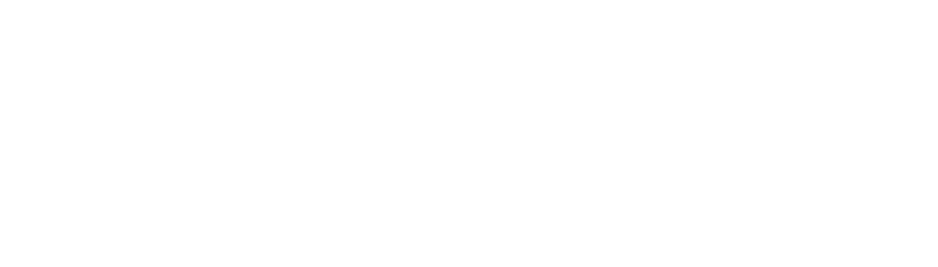 La Vida Real logo