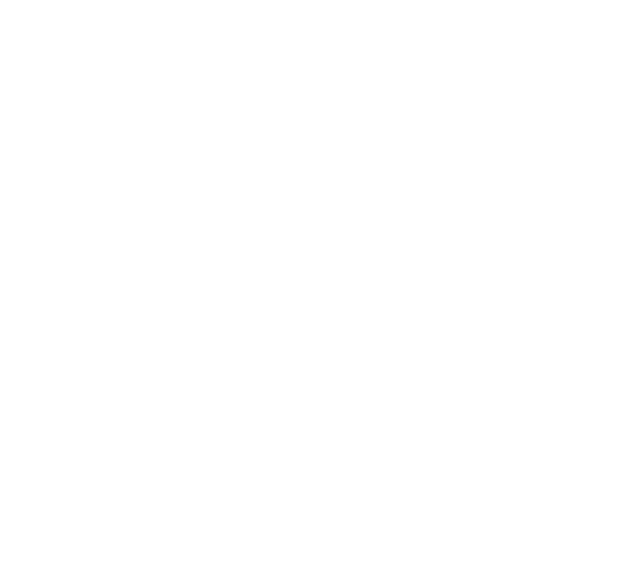 Lake Elmo Inn logo
