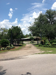 Lake Forest Equestrian Center logo